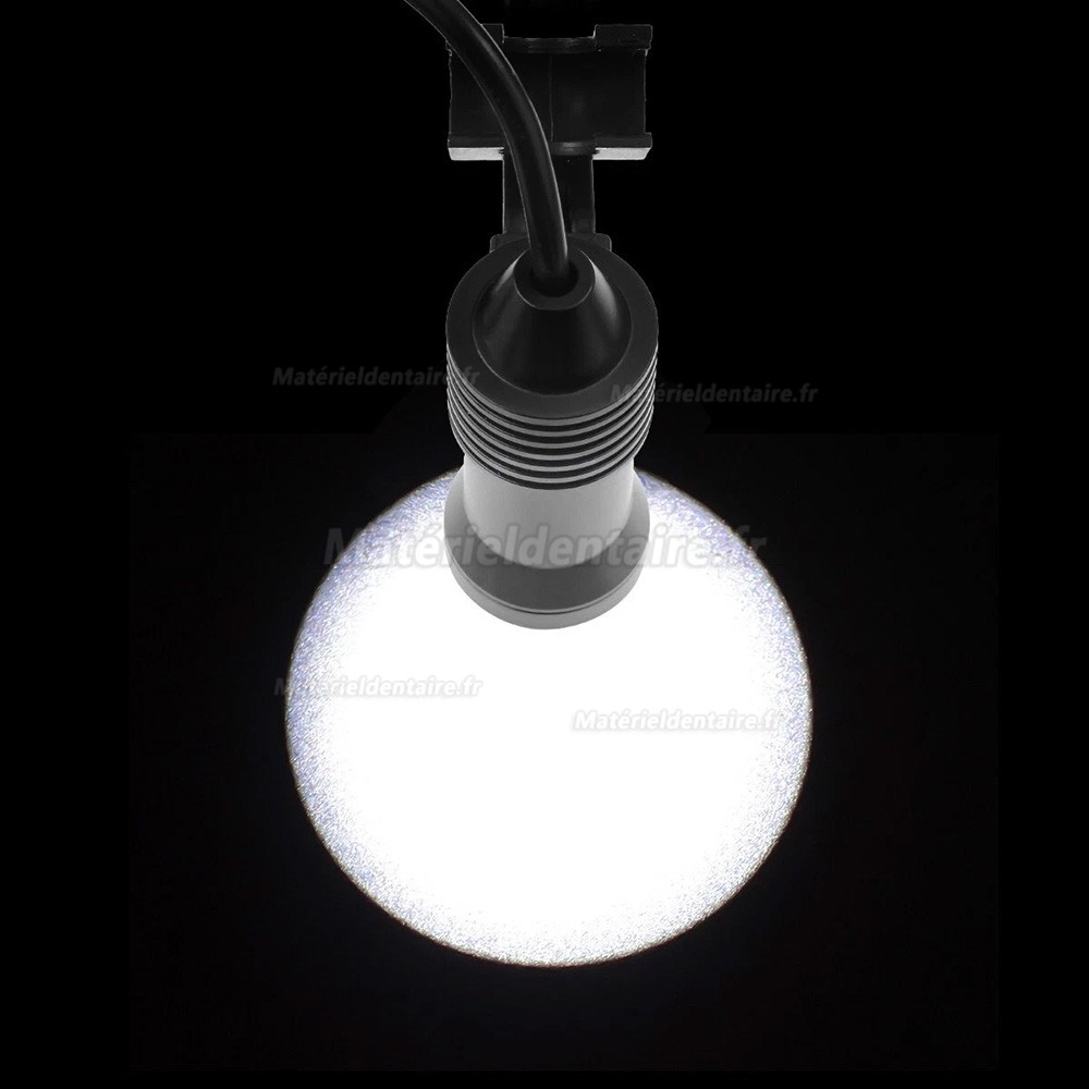 Loupes binoculaires dentaires 3,5X + Lampe frontale LED dentaire 5W avec filtre